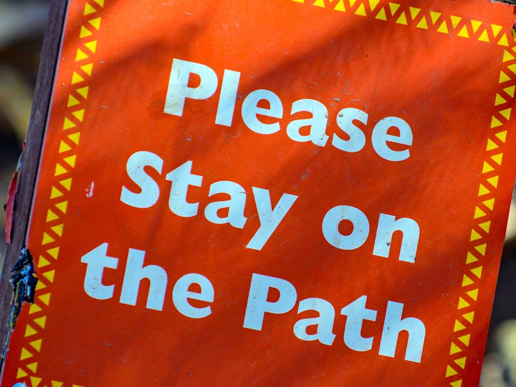 Show Me… I Need a&nbsp;Sign!